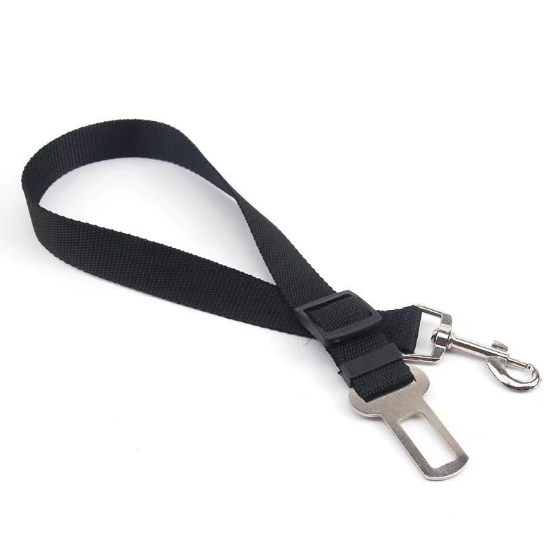 Adjustable travel tether with seat-belt buckle clip