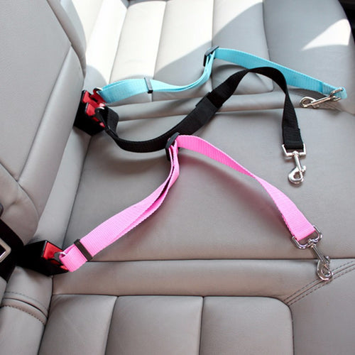Adjustable travel tether with seat-belt buckle clip