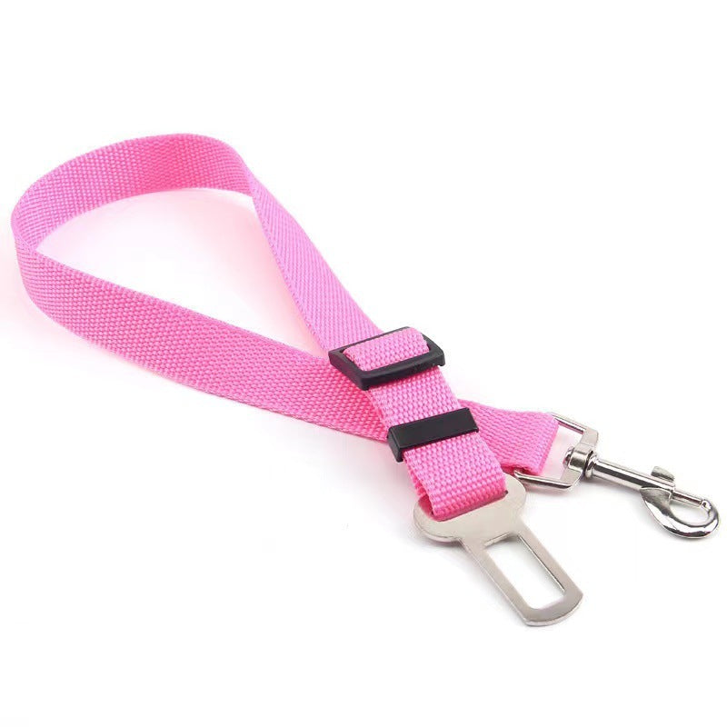 Adjustable travel tether with seat-belt buckle clip