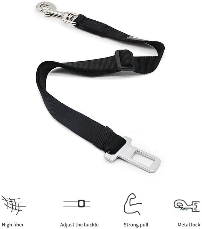 Adjustable travel tether with seat-belt buckle clip