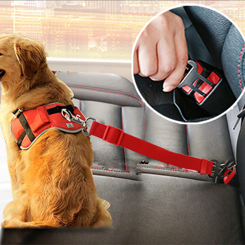 Adjustable travel tether with seat-belt buckle clip