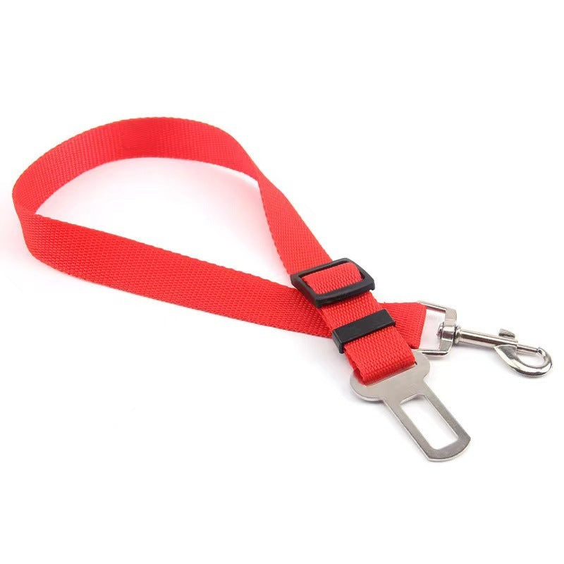 Adjustable travel tether with seat-belt buckle clip