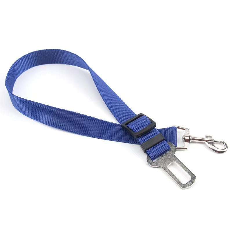 Adjustable travel tether with seat-belt buckle clip