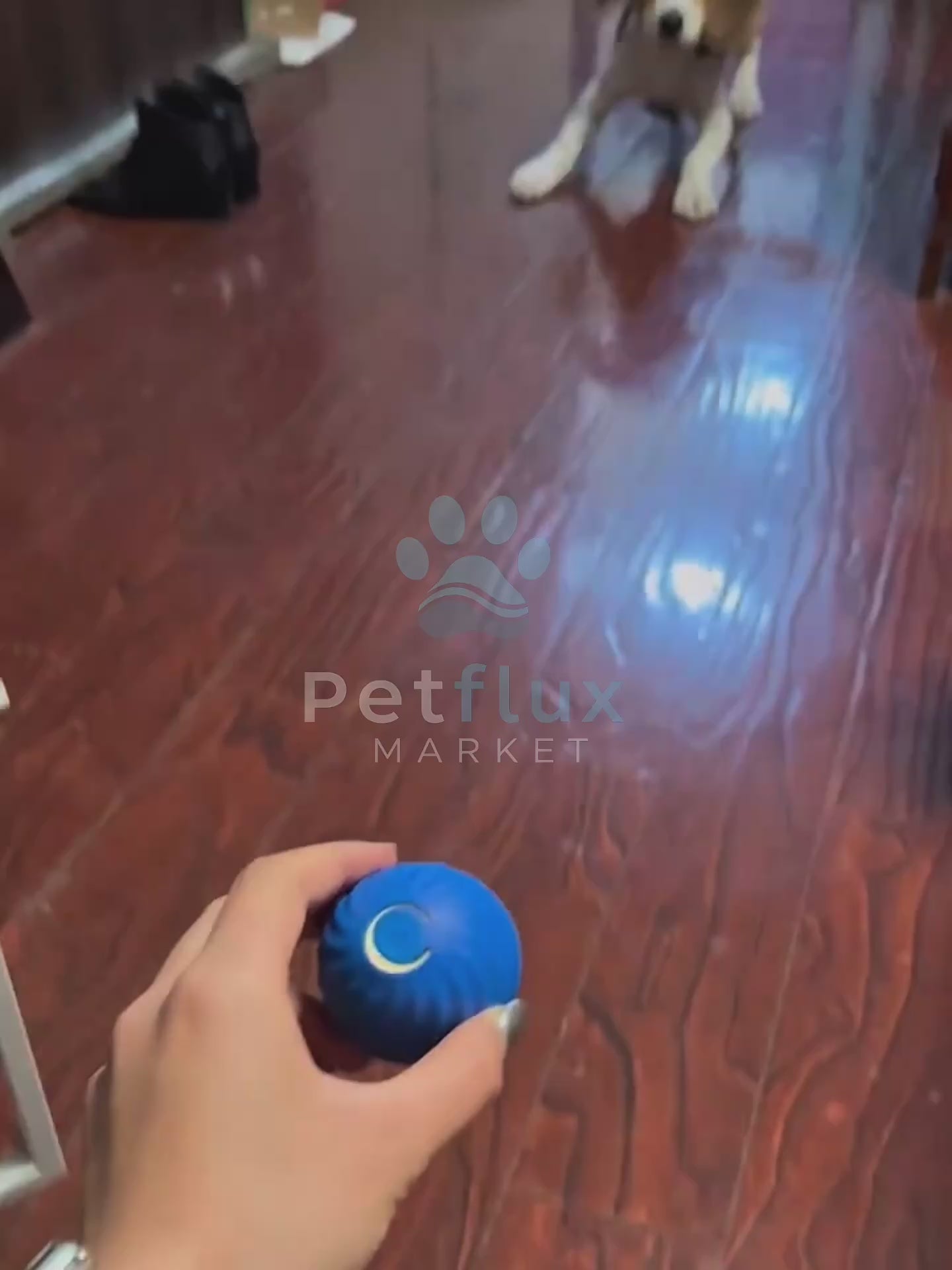 Smart Bounce Dog Ball – Chew-Resistant Rubber 
High-elastic core • Bright colors • Exercise & training